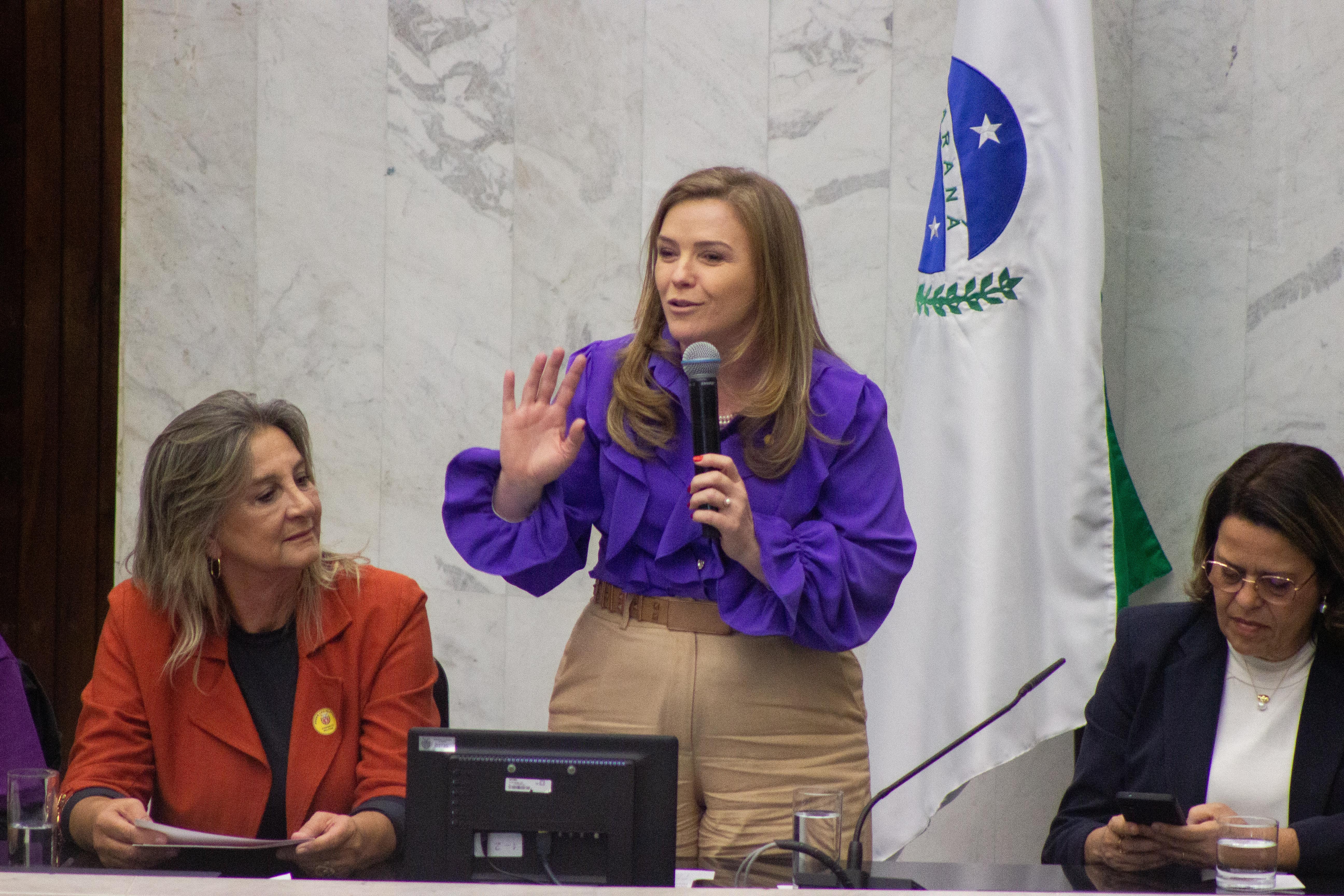 Governo do Paraná apoia expansão de procuradorias da mulher pelo Estado