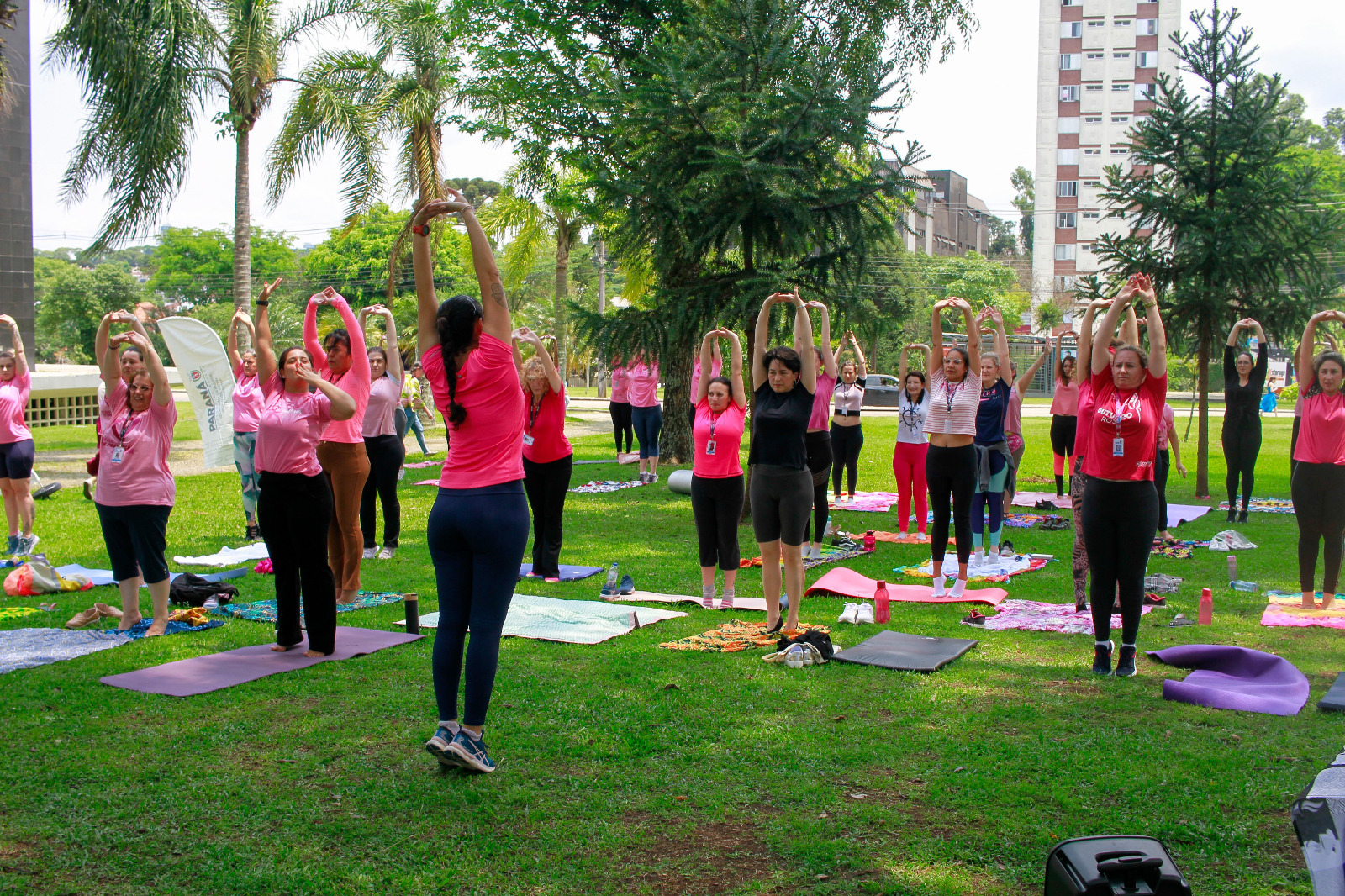 Idosa de 82 anos dá aulas de yoga de graça em centro de convivência em  Cuiabá e esbanja flexibilidade e saúde, Mato Grosso