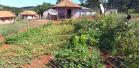 Programa Renda Agricultor atende 52 famílias indígenas do município de Turvo