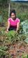 Programa Renda Agricultor atende 52 famílias indígenas do município de Turvo