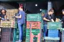 trabalho diário Ceasa