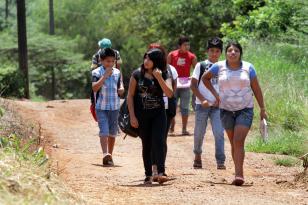Governador Ratinho Junior estabelece que povos indígenas e comunidades tradicionais integrem grupo de risco da Covid-19
