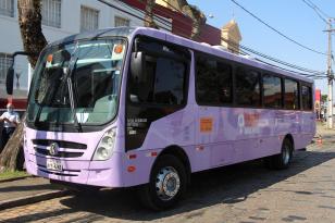 Ônibus Lilás estará em municípios do Norte e Norte Pioneiro nesta semana