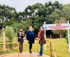 Governo distribui 20 mil cestas básicas às famílias de pessoas com deficiência em vulnerabilidade social no Paraná