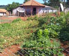 Programa Renda Agricultor atende 52 famílias indígenas do município de Turvo