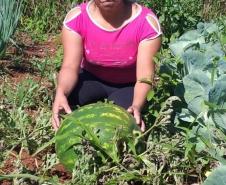 Programa Renda Agricultor atende 52 famílias indígenas do município de Turvo