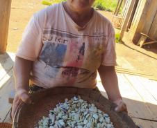 Programa Renda Agricultor atende 52 famílias indígenas do município de Turvo