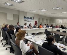 Governo do Paraná reforça articulação entre instituições no combate à violência contra as mulheres