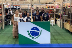 A foto mostra um grupo de expositores em um estande da Fenearte 2025, representando o estado do Paraná. Eles estão reunidos atrás de um painel com a bandeira do estado. Ao fundo, é possível ver prateleiras com peças de artesanato como bolsas, bonecas, esculturas e bijuterias, organizadas de forma colorida e atraente. O estande tem estrutura de madeira clara, piso verde e ambiente iluminado.
