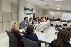 Comitê Interinstitucional debate fortalecimento das ações e reestruturação das Câmaras Técnicas de enfrentamento às violências contra as mulheres