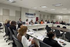 Governo do Paraná reforça articulação entre instituições no combate à violência contra as mulheres