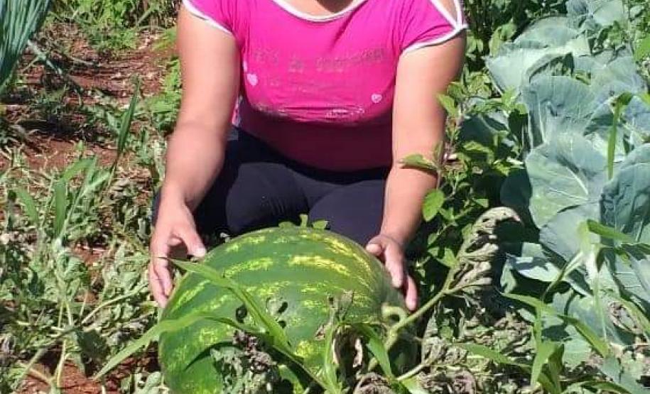 Programa Renda Agricultor atende 52 famílias indígenas do município de Turvo