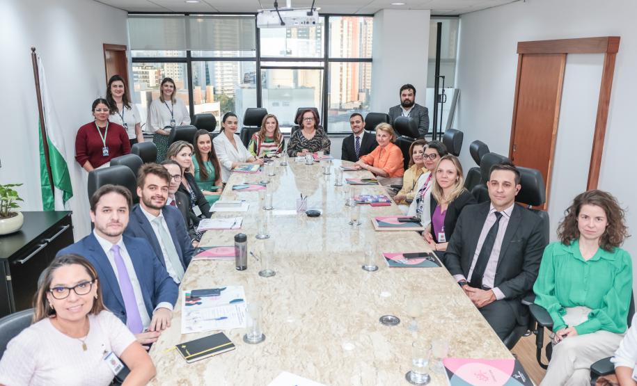 Semipi planeja ações com Sistema de Justiça com foco nos direitos da mulher e do idoso