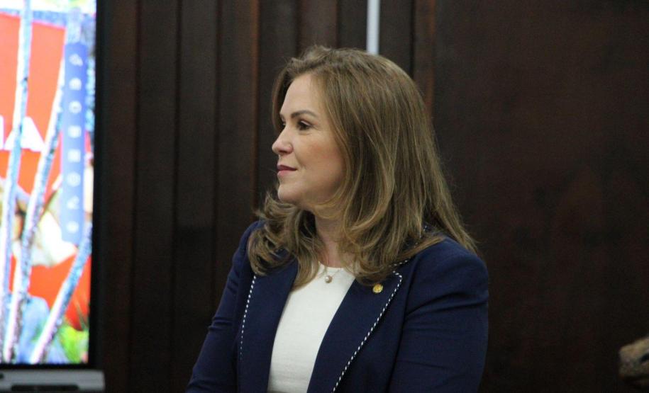 IV Seminário de Violência Política de Gênero