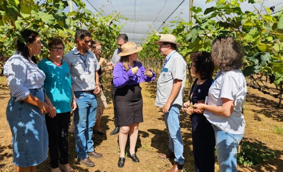 Evento reuniu mulheres empreendedoras do Norte Pioneiro e região