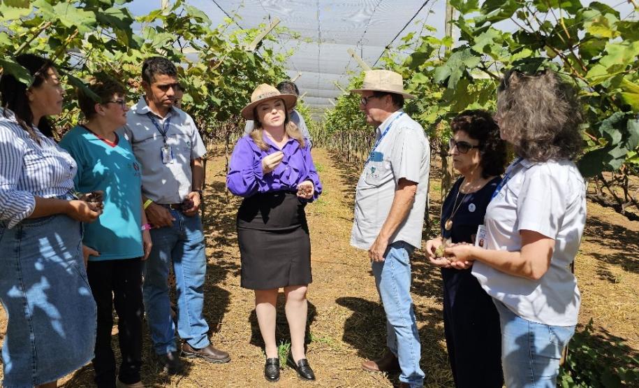 Evento reuniu mulheres empreendedoras do Norte Pioneiro e região