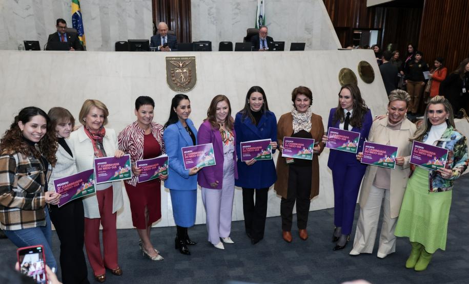 Reunião Semipi e Bancada Feminina da Alep