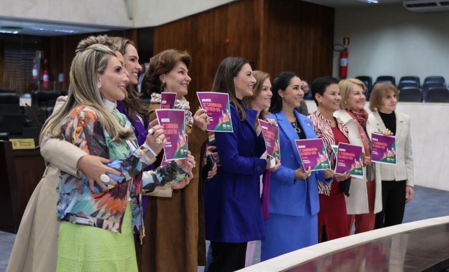 Reunião Semipi e Bancada Feminina da Alep