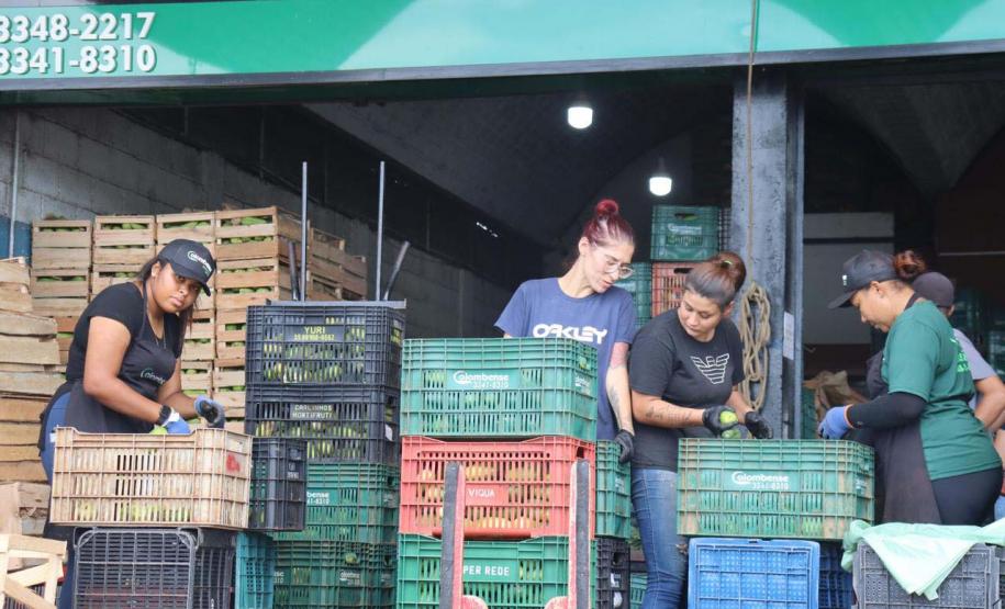 trabalho diário Ceasa