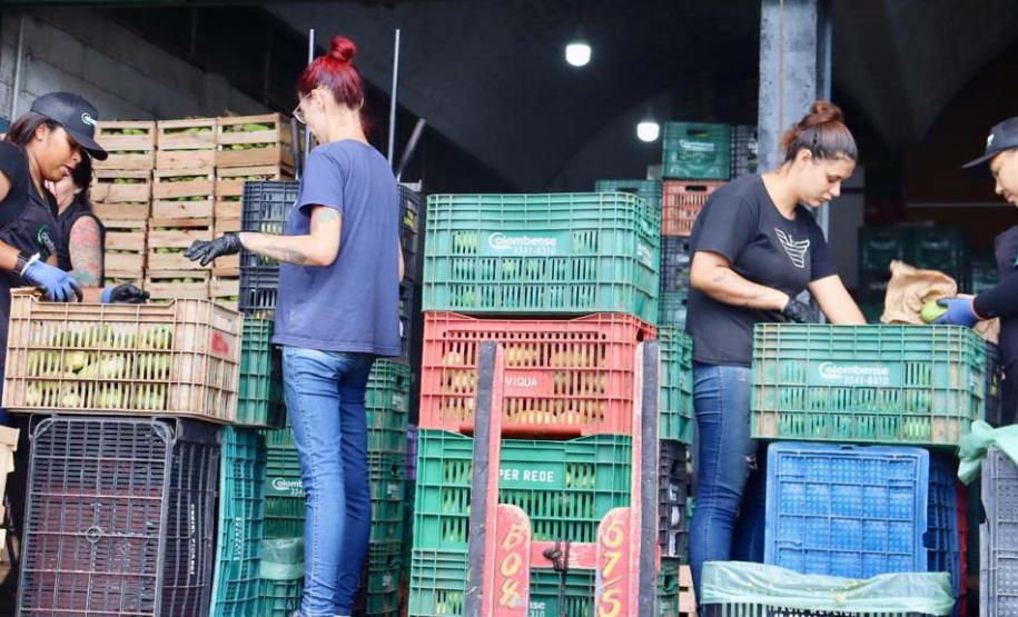 trabalho diário Ceasa