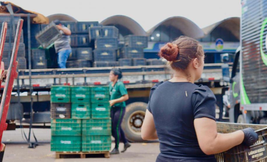 trabalho diário Ceasa
