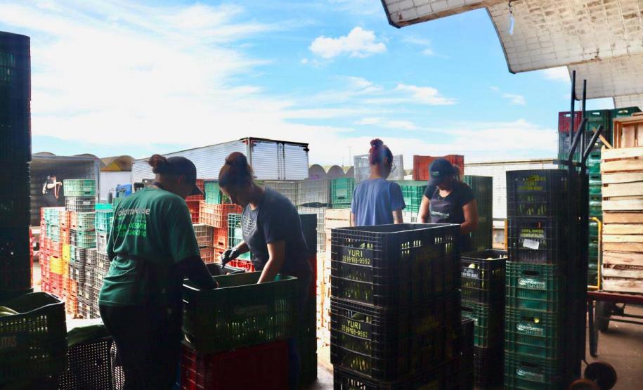 trabalho diário Ceasa