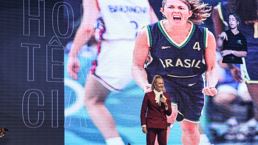 Imagem da Hortência